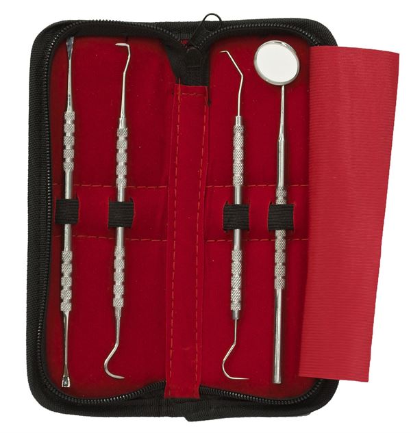 Tooth cleaning set 4 pieces for Dental Hygiene - 1 mouth mirror, 2x Curette tooth cleaner, 1 scraper - | Fashiongirl